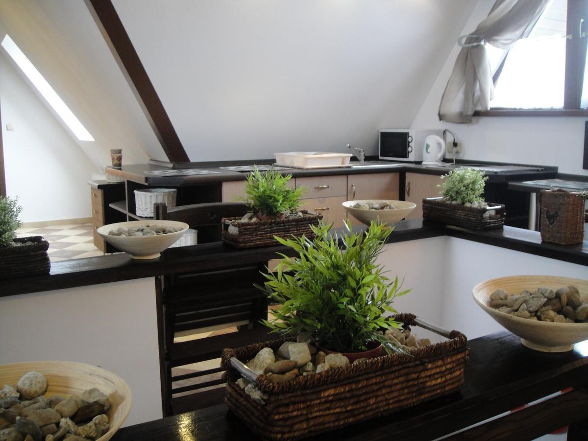 Apartamenty Centrum 2 זקופאנה מראה חיצוני תמונה