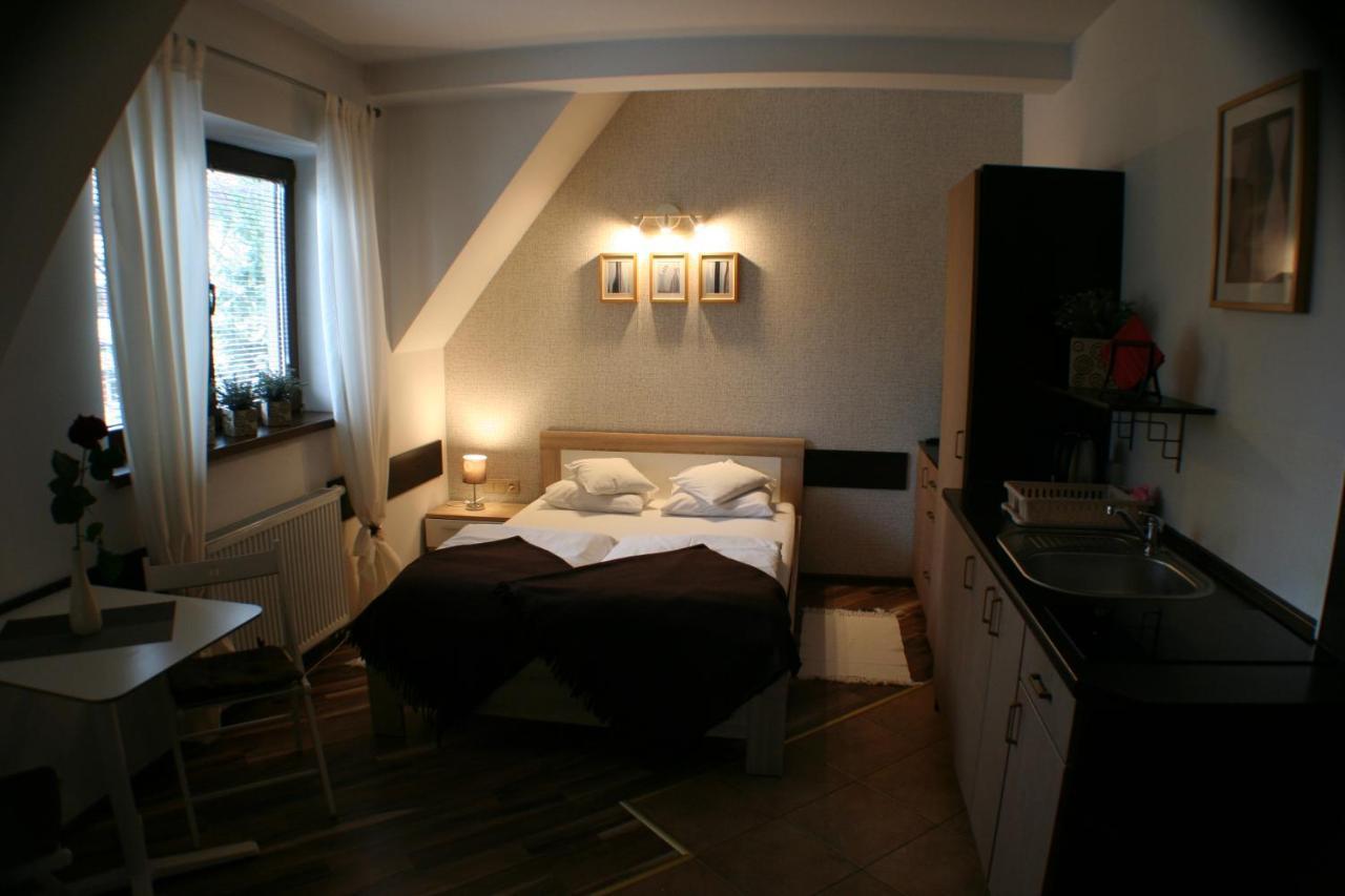Apartamenty Centrum 2 זקופאנה מראה חיצוני תמונה